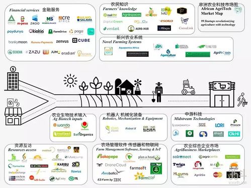 非洲農(nóng)業(yè)科技新浪潮 聚焦種植決策、供應(yīng)鏈與金融服務(wù)的數(shù)字化轉(zhuǎn)型
